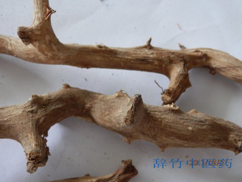 穿山龙——薯蓣科植物穿龙薯蓣Diosocorea nipponica Makino的干燥根茎.jpg